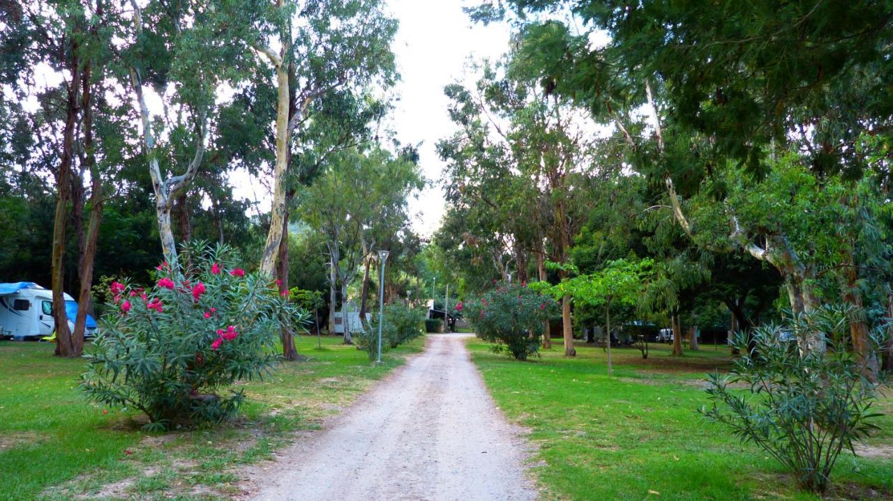 Camping Miami Plage Ξενοδοχείο Poggio Mezzana Εξωτερικό φωτογραφία